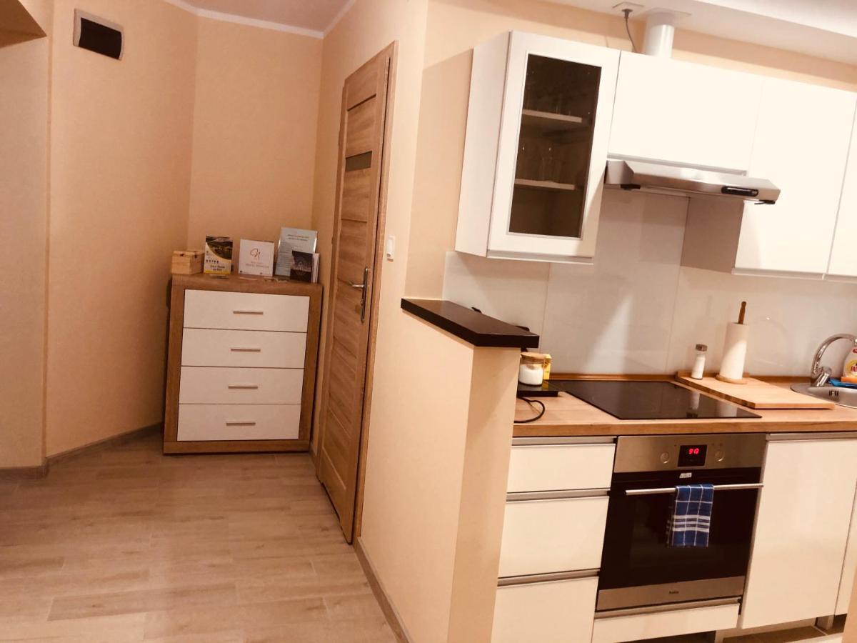 Apartamenty Alicja Dzierżoniów Exteriér fotografie